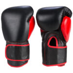 Boxing Gloves (2)