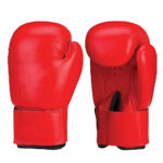 Boxing Gloves (7)